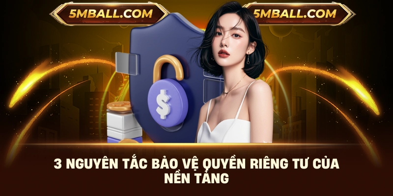 3 nguyên tắc bảo vệ quyền riêng tư của nền tảng